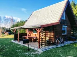 Domek Pod Lasem