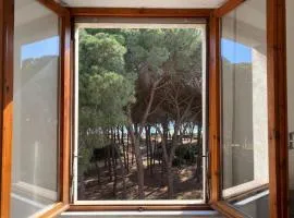 Casa Mare Delfino