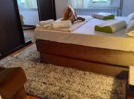 Apartman Petar