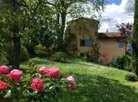 Appartamento con terrazza privata e giardino vicino a Pisa e Firenze