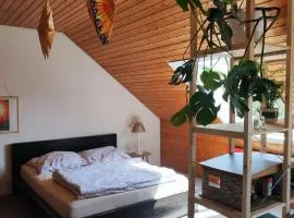 Big Cozy Entire Family Appartment