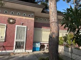 Intera casa, 100 m dal mare, grande giardino