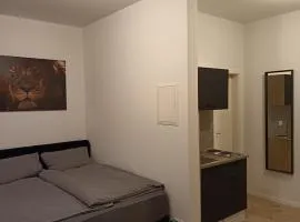 Business Apartment mit neuem Bad / WLAN / Smart-TV / Küche