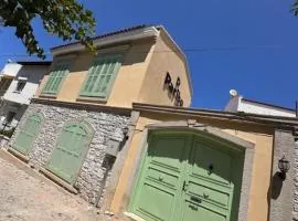 paribo koyiçi