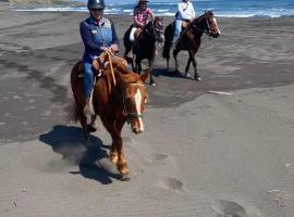 Del Pangal Canto- Acceso directo a la Playa y Cabalgatas, albergue en Cáhuil