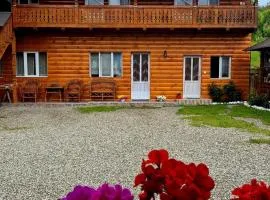 Casa Pintea de Sub Coastă