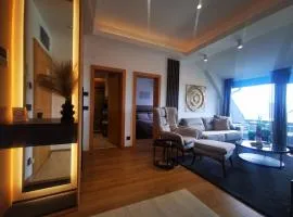 SREBRNI VRHOVI Penthouse