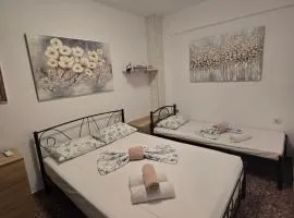 Luxury Angel Apartments 3