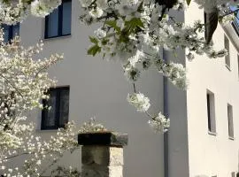 Ferienwohnung Skyline Suite