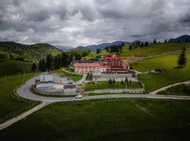 Vila Dealul Sasului