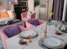 NICE EXCEPTIONNEL UN LOFT DANS APPARTEMENT D HOTE 40 M2 ATYPIQUE ORIGINAL 200 m mer PROMENADE DES ANGLAIS, PLAGES