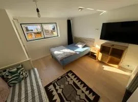 Elegant Studio Apartment