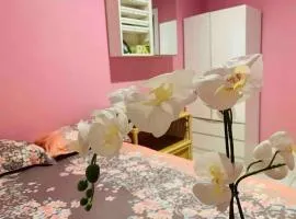 Nice room less pay near Port Adelaide