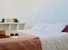 Studio cosy blagnac