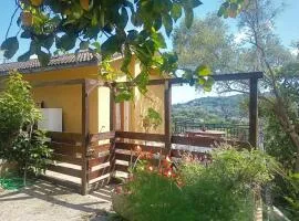 Casa Artigena
