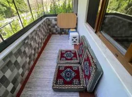 1st Floor Apart Apartment by the River in Uzungöl