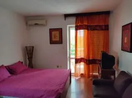 MiNa Studio Petrovac