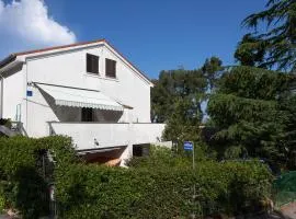 Apartment Pejnović
