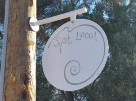 Spot Local