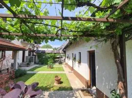 Brne Family House
