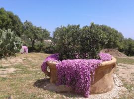 Stazzu Gallurese, holiday home in Marina di Portisco