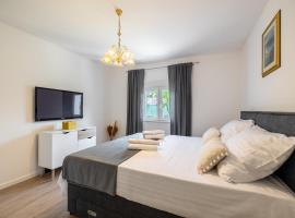 Comfort 5 person apartman, FREE parking, מלון בסולין