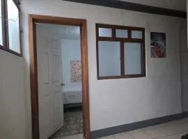 The New Shelter