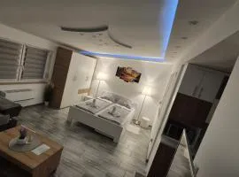 Apartmani Tiski Labud