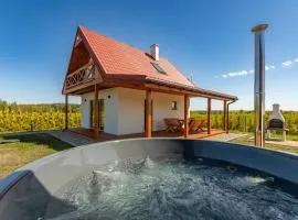 Wichrowe Wzgórze Chill House Jabłonowo