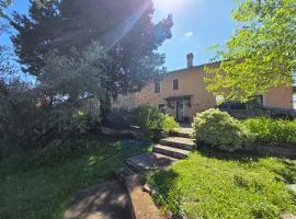 Tra gli ulivi e il panorama