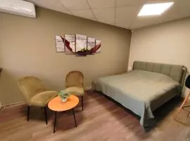 Green Orchid appartment