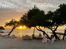 Hotel Carey Beach Baru