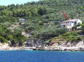 Apartments by the sea Cove Bristva, Korcula - 15205