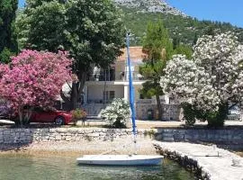 Apartments by the sea Viganj, Peljesac - 24522