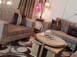 شقة مميزة للايجار المفروش بالشيخ زايد