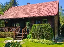 Domek rustykalny z sauną nad samym jeziorem