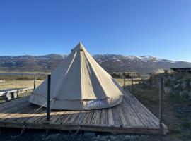 Syndinst&oslash;ga, gl&agrave;mping a Ryfoss