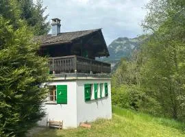 Cozy little chalet in a perfect location!