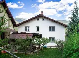 Casa Puiu