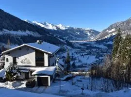 Ferienappartements Alpenwelt