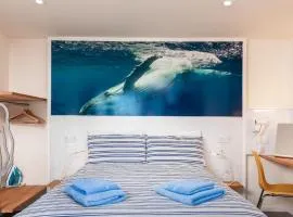 Compact Room, Free Private Parking