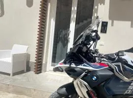 Lazzara 19