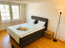 New Cozy 2 room Apartment in Zurich Old Town Center RENN - Self Checkin