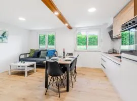 Apartment SočaFly