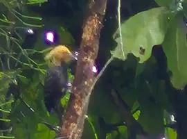 Hostel Soteropolitano