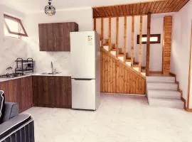 Maestro guesthouse