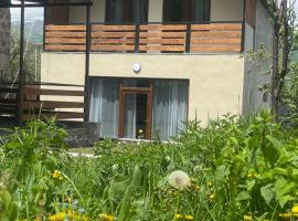 Eva Grand House Dilijan, hotel in Dilidzjan