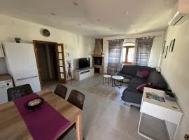 apartment Sali Morić s terasom