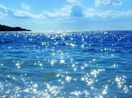 LARIX luxury APARTMENTS