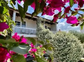 Nili Hotel